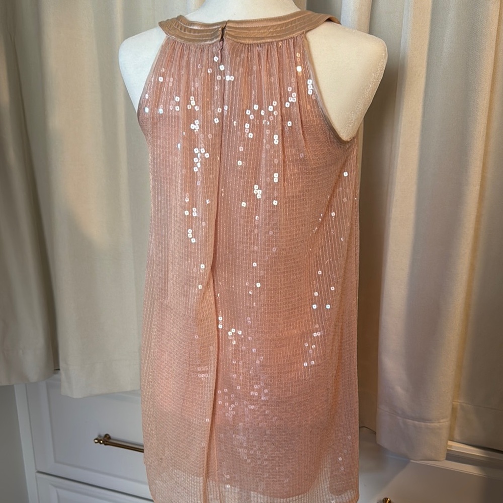 Betseu Johnson Sequin Sleeveless Dress - Picture 6 of 8